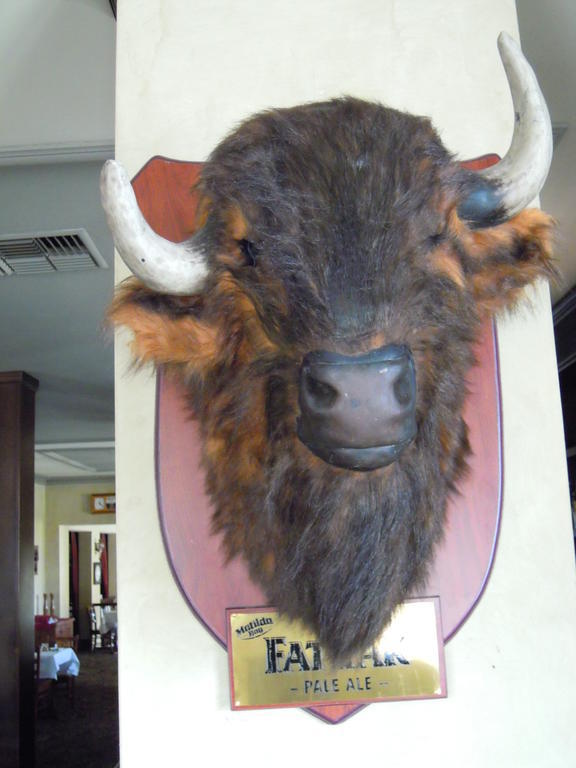 Moondyne Joe'S Hotel Fremantle Eksteriør billede